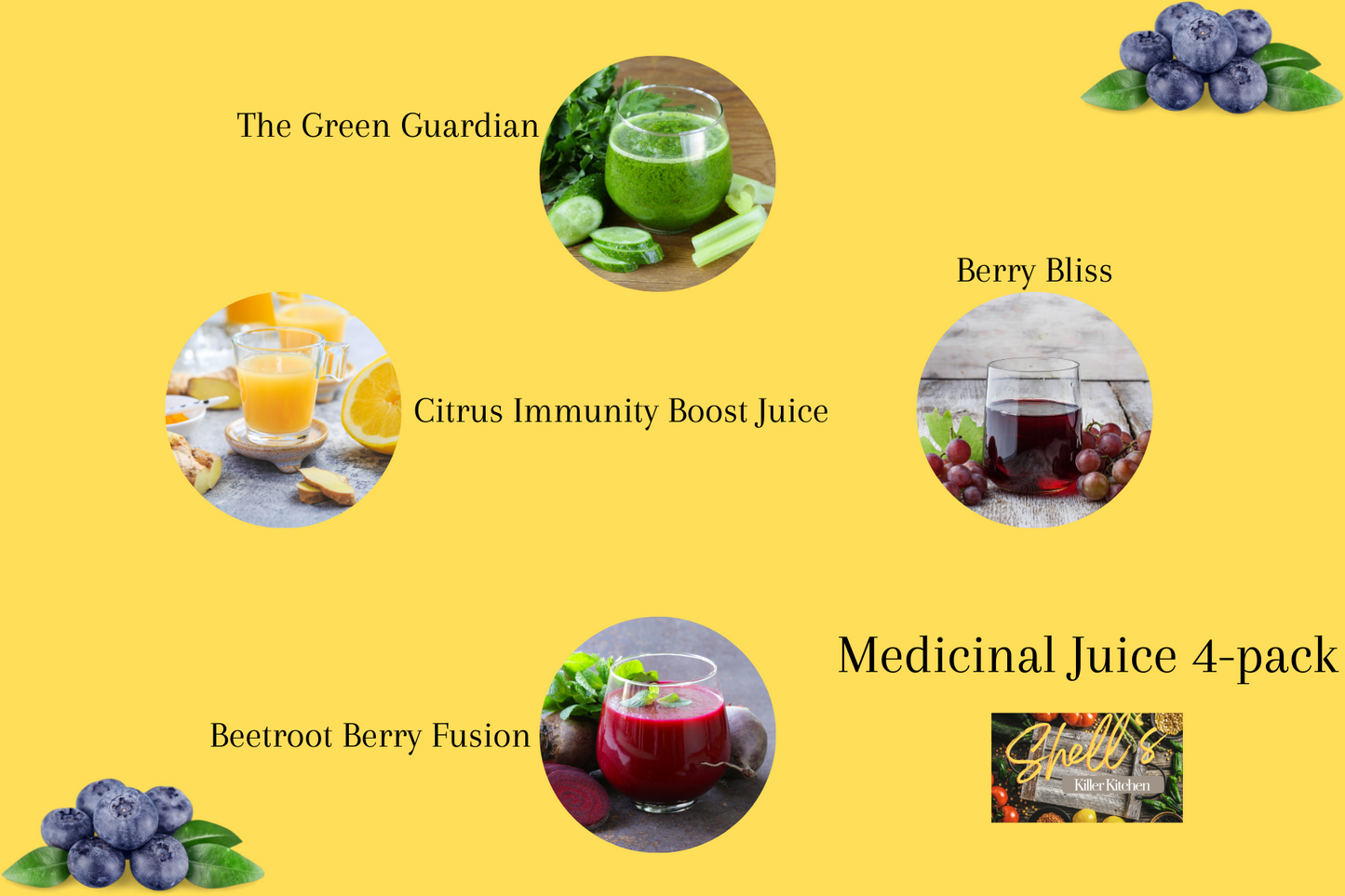 MEDICINAL JUICE SHOTS DIGITAL RECIPE BUNDLE- 4 PACK